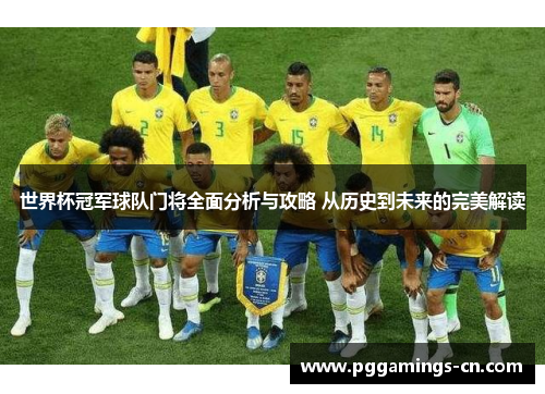 世界杯冠军球队门将全面分析与攻略 从历史到未来的完美解读